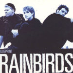 Rainbirds_Blueprint